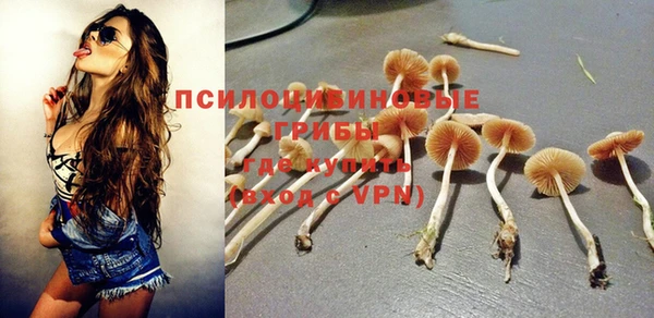 стафф Медвежьегорск