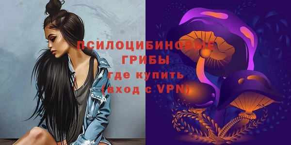 стафф Медвежьегорск