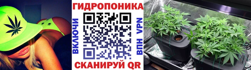 Шишки марихуана индика  Почеп 